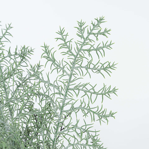 15" SOFT TOUCH FERN BUSH