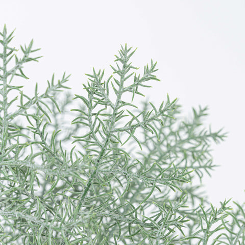 15" SOFT TOUCH FERN BUSH