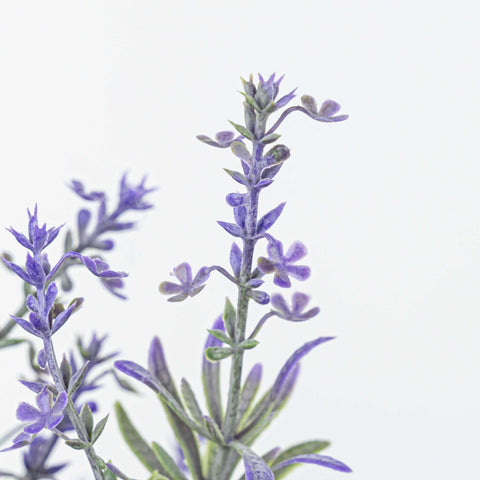 16" LAVENDER BUSH X 7