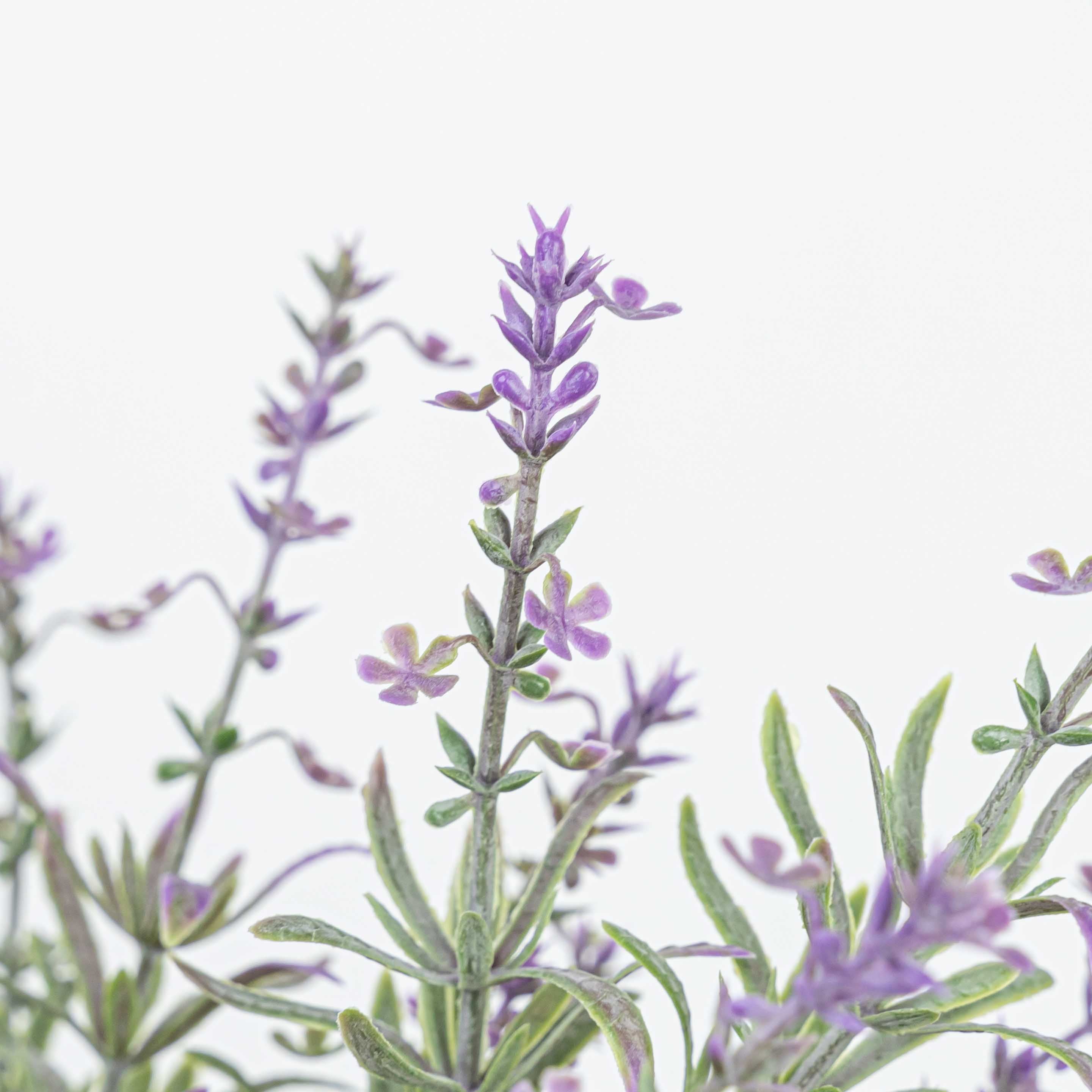 16" LAVENDER BUSH X 7