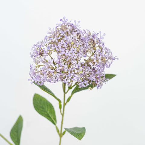 27" SOFT TOUCH SEDUM SPRAY X 3