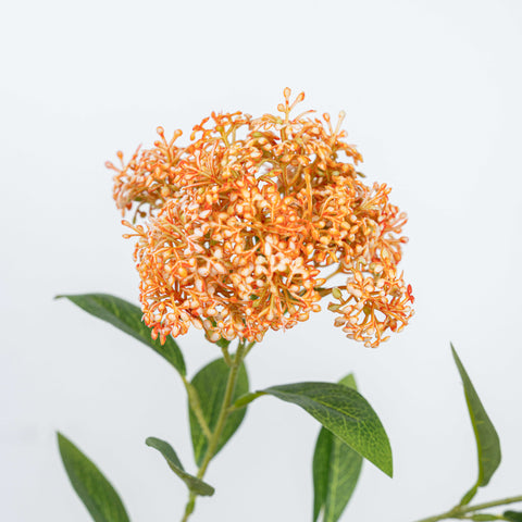 27" SOFT TOUCH SEDUM SPRAY X 3