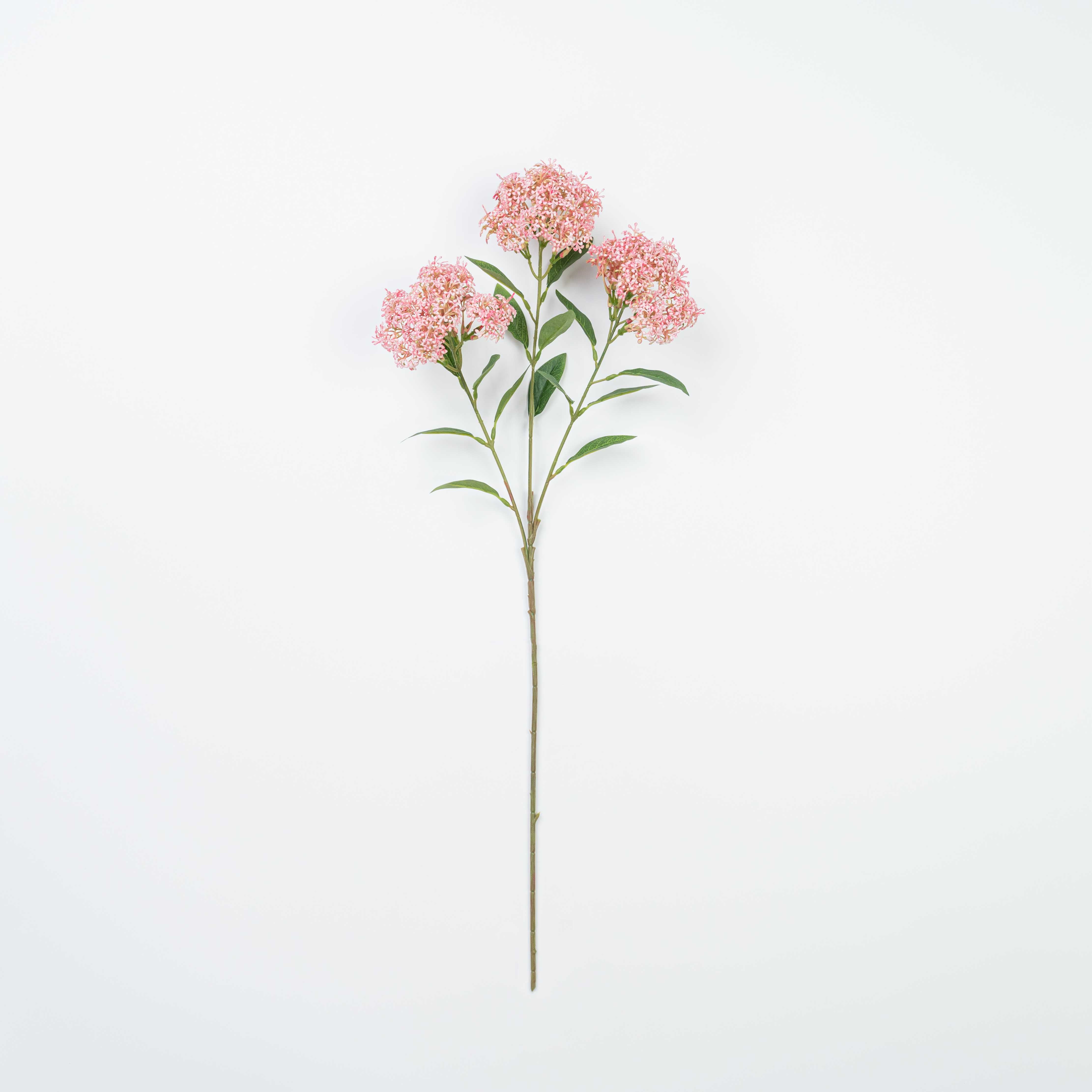 27" SOFT TOUCH SEDUM SPRAY X 3