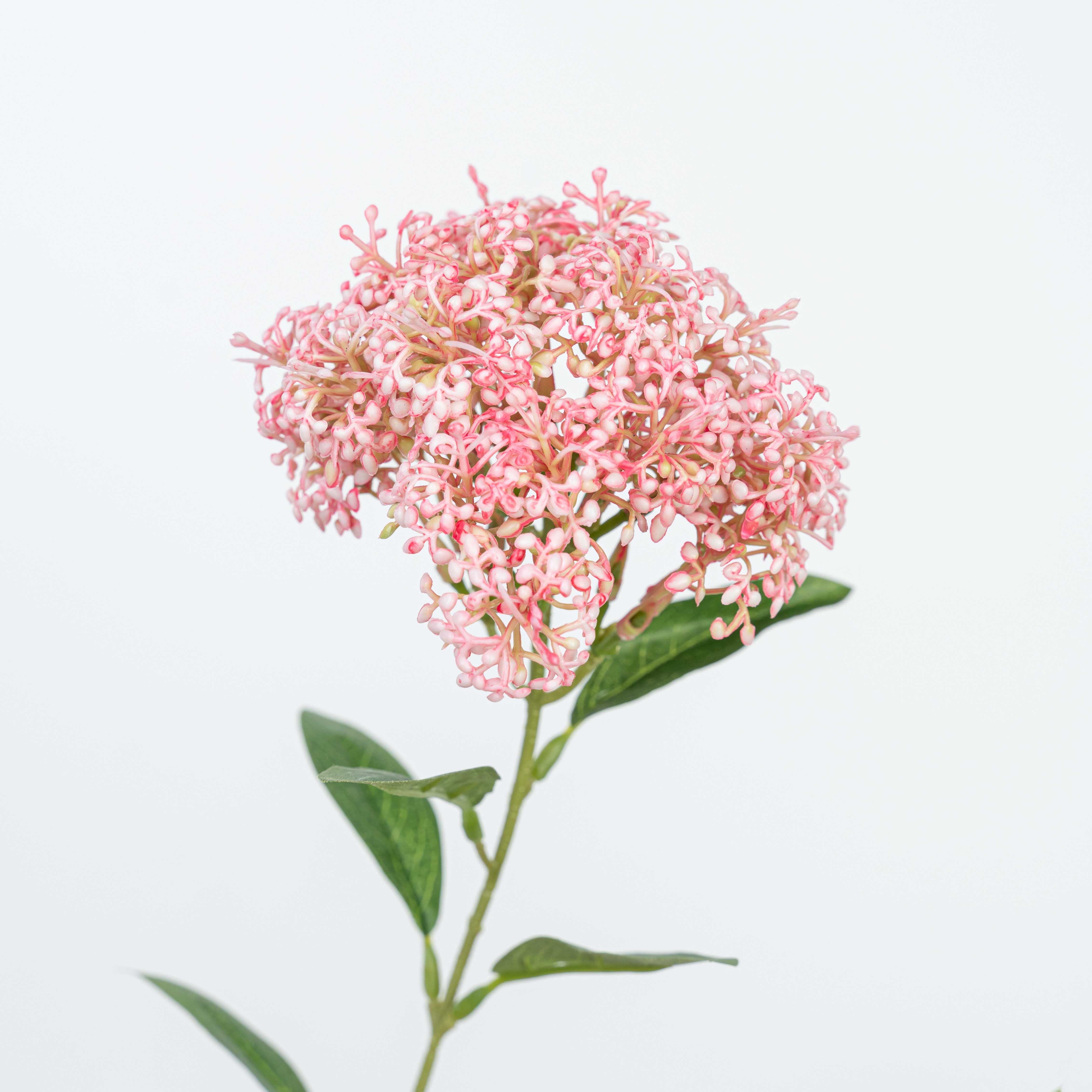 27" SOFT TOUCH SEDUM SPRAY X 3