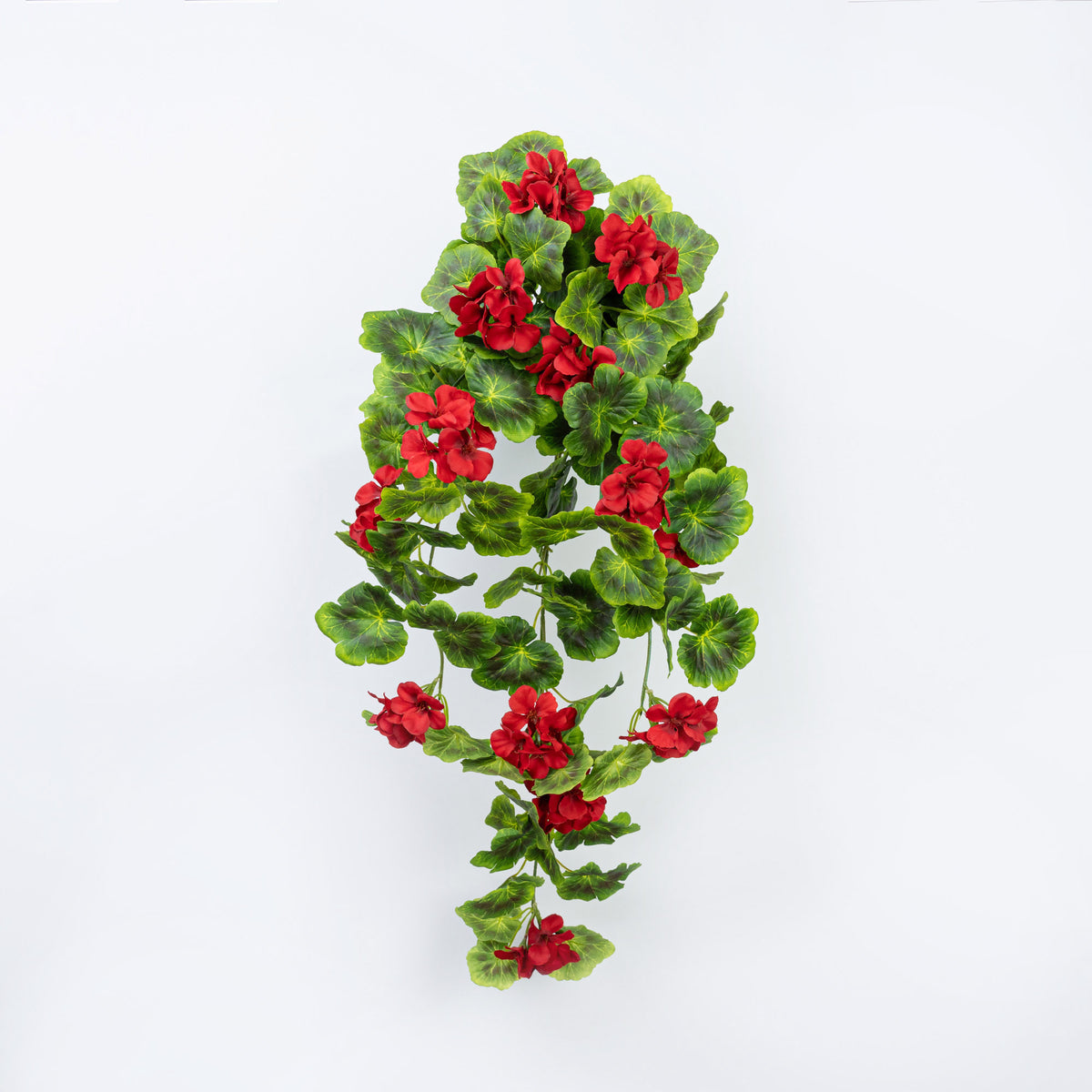 31" GERANIUM HANGING BUSH X 9