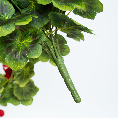31" GERANIUM HANGING BUSH X 9