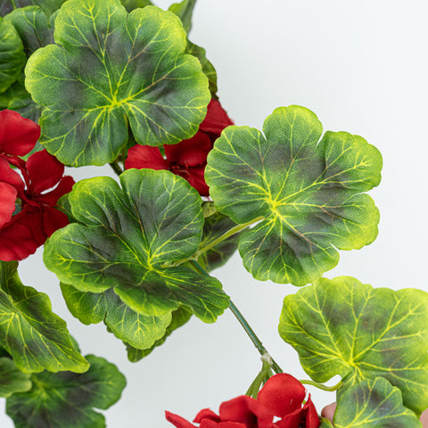 31" GERANIUM HANGING BUSH X 9