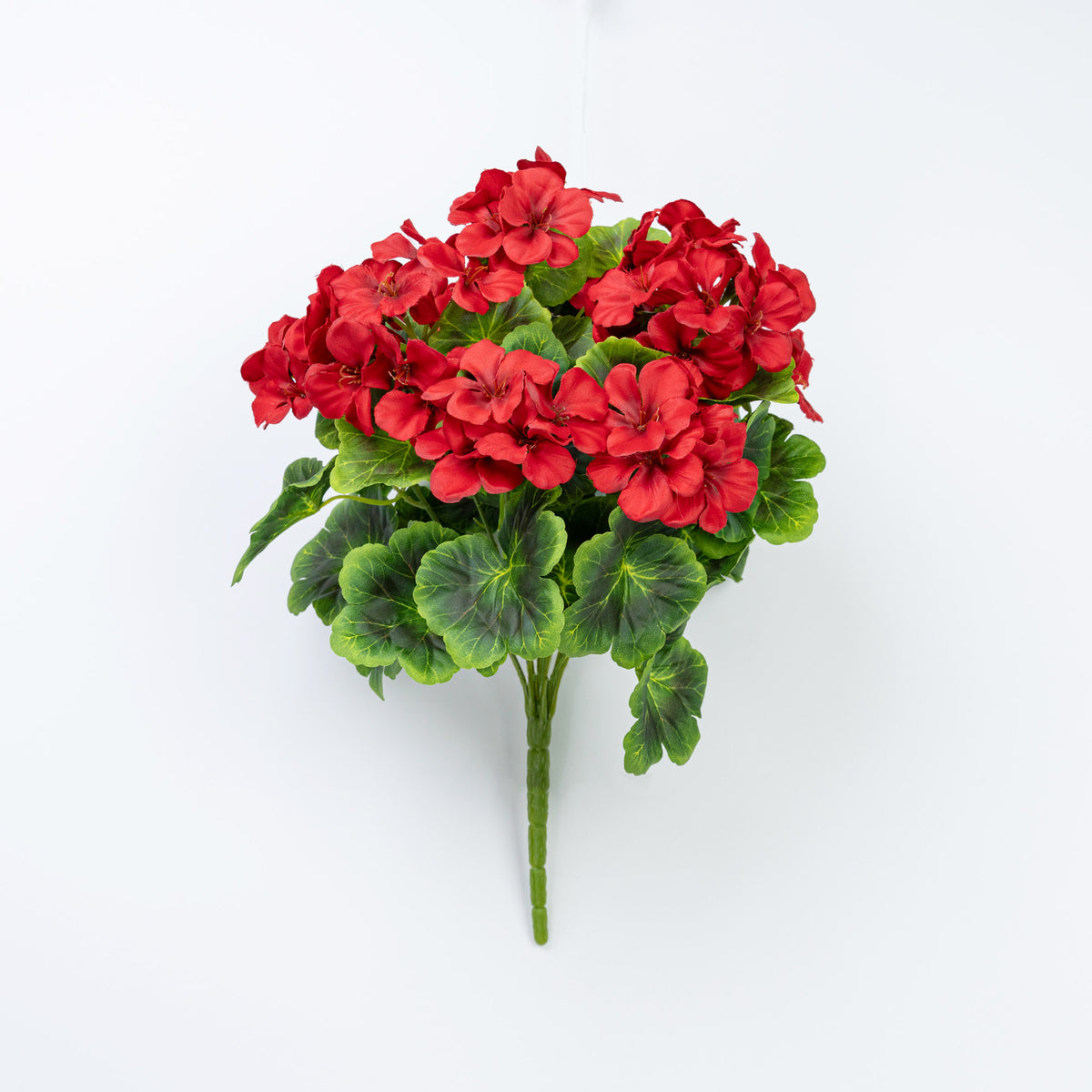 16" GERANIUM BUSH X 9