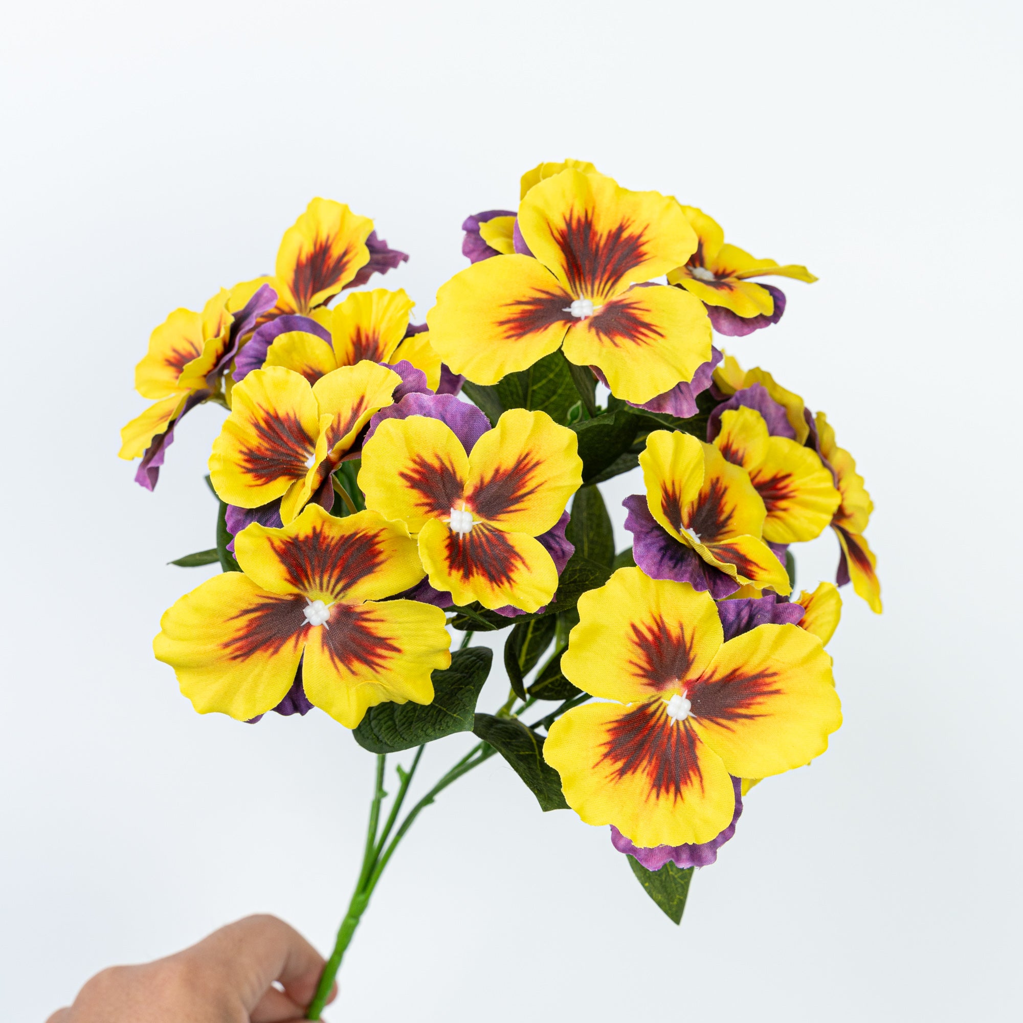 13" PANSY BUSH X 5