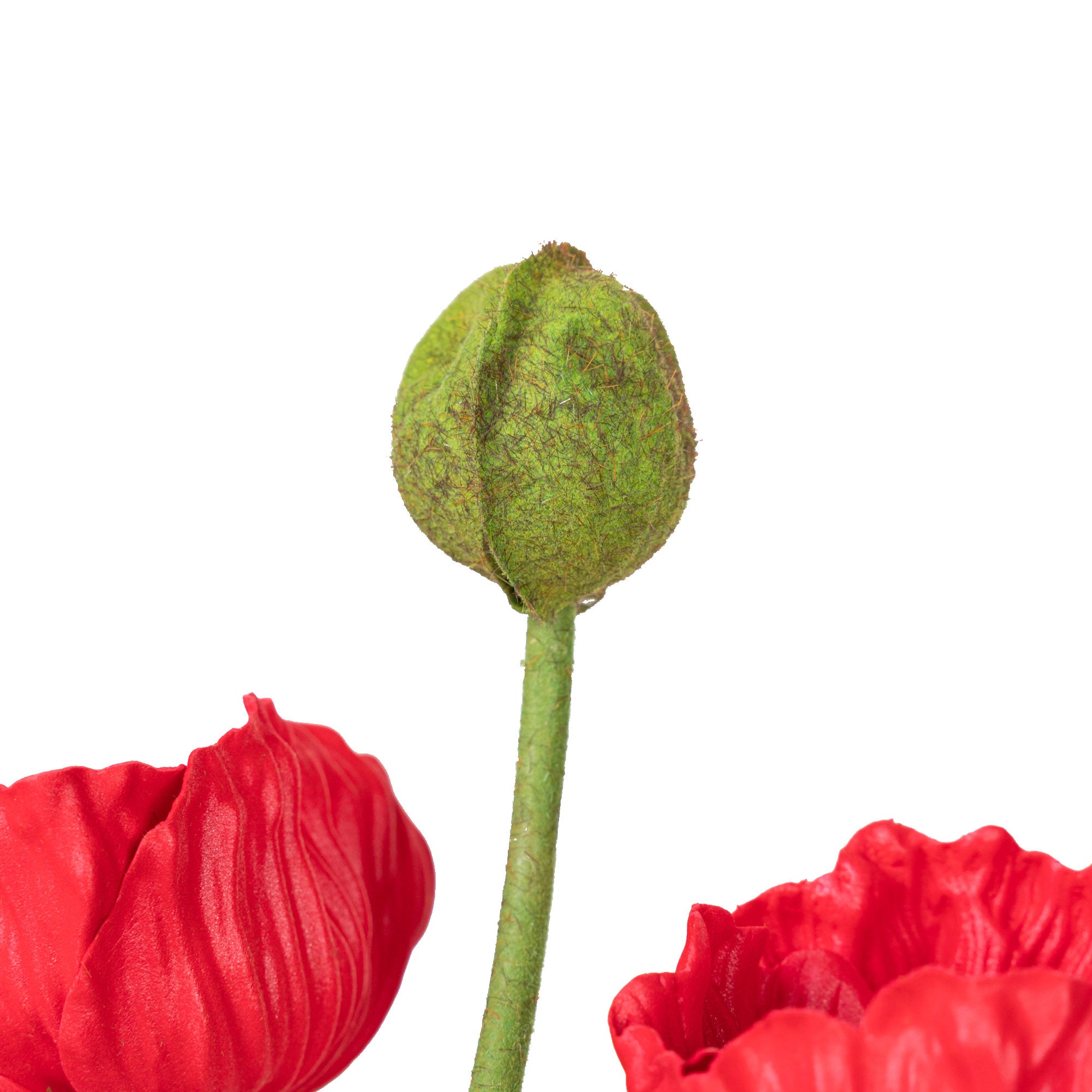 18" POPPY BUNDLE