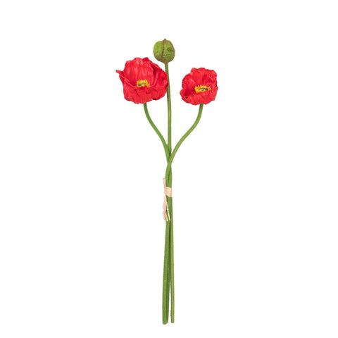18" POPPY BUNDLE