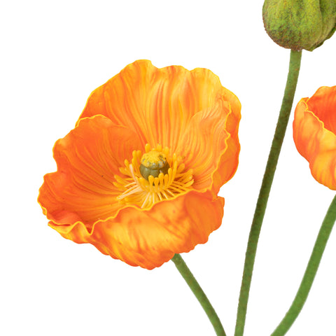 18" POPPY BUNDLE