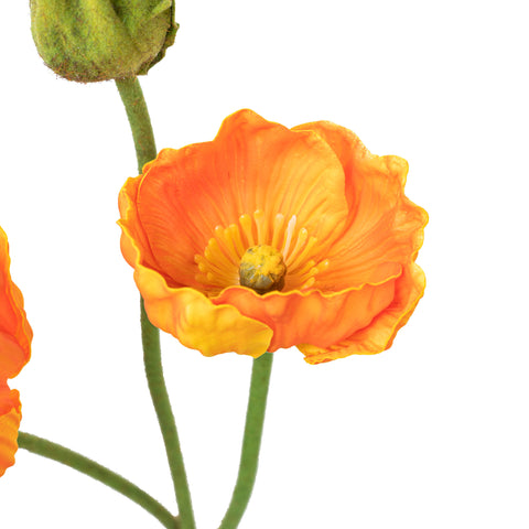 18" POPPY BUNDLE