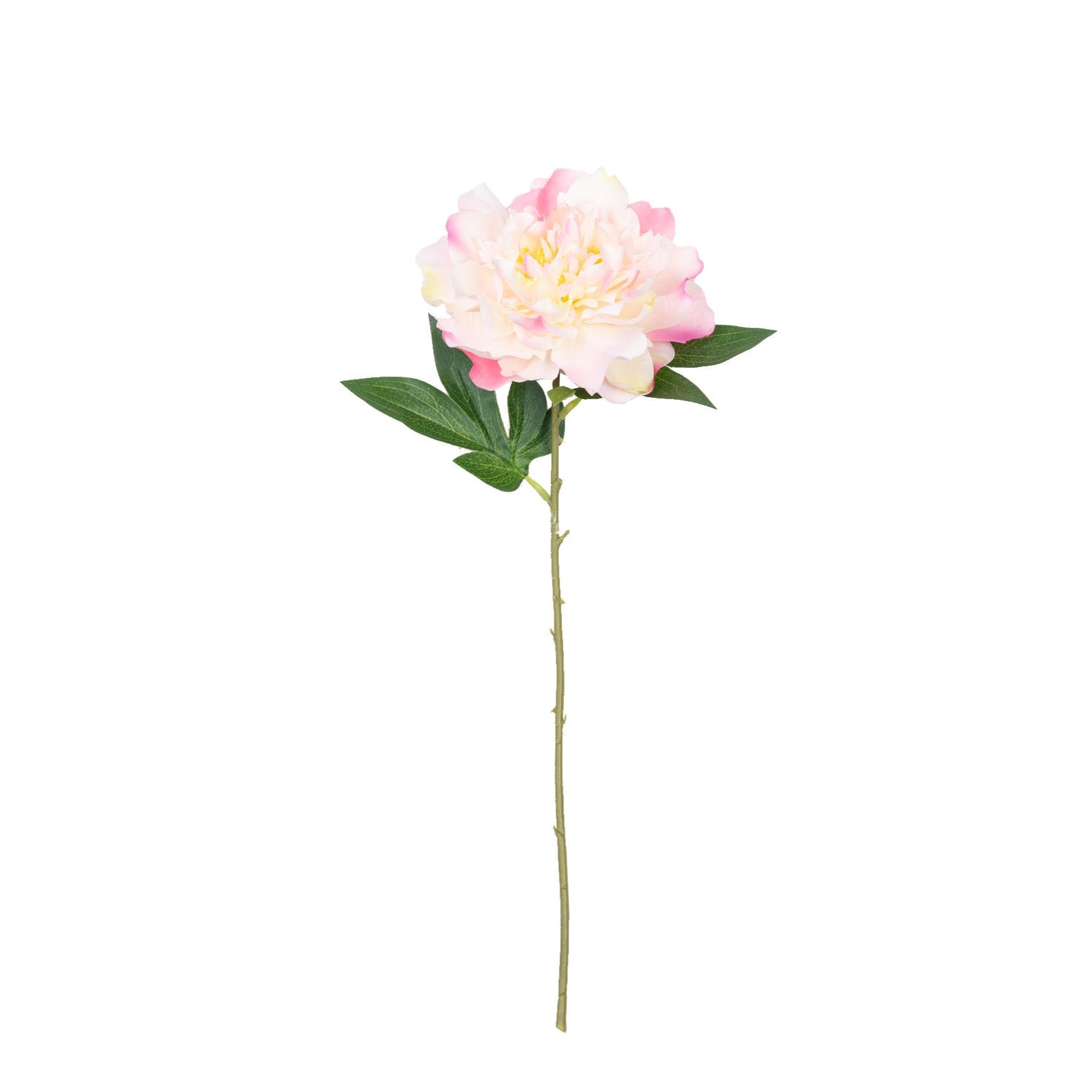 18" PEONY PICK