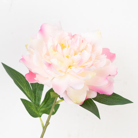 18" PEONY PICK