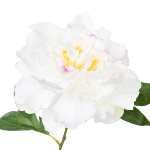 18" PEONY PICK