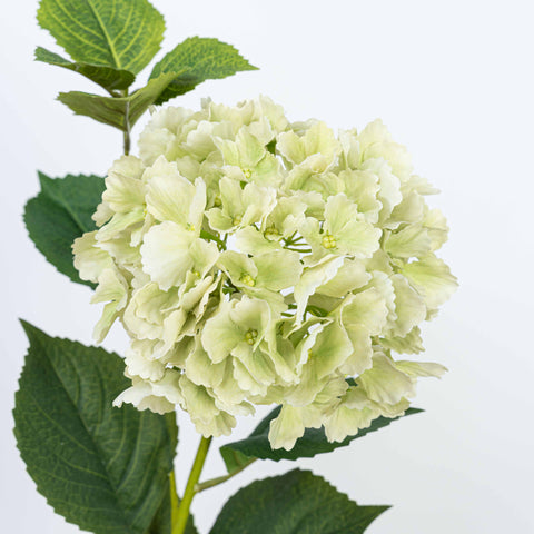 29" HYDRANGEA SPRAY