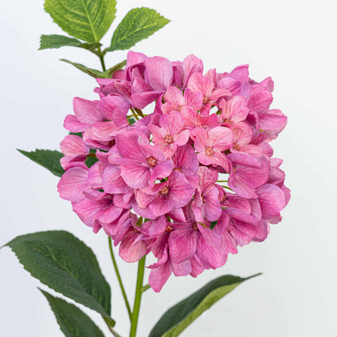 29" 3D PRINTING HYDRANGEA SPRAY