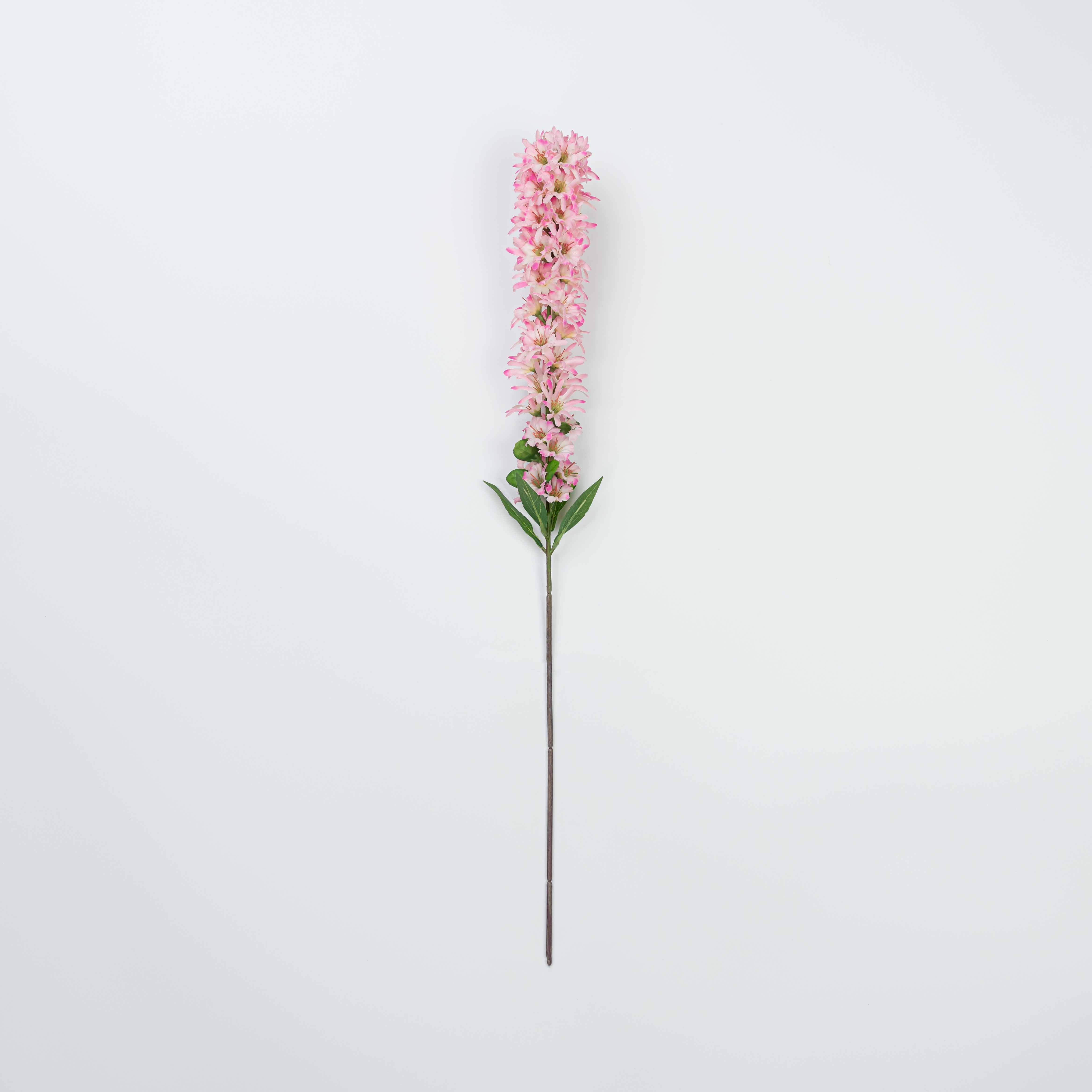 24" HYACINTH STEM