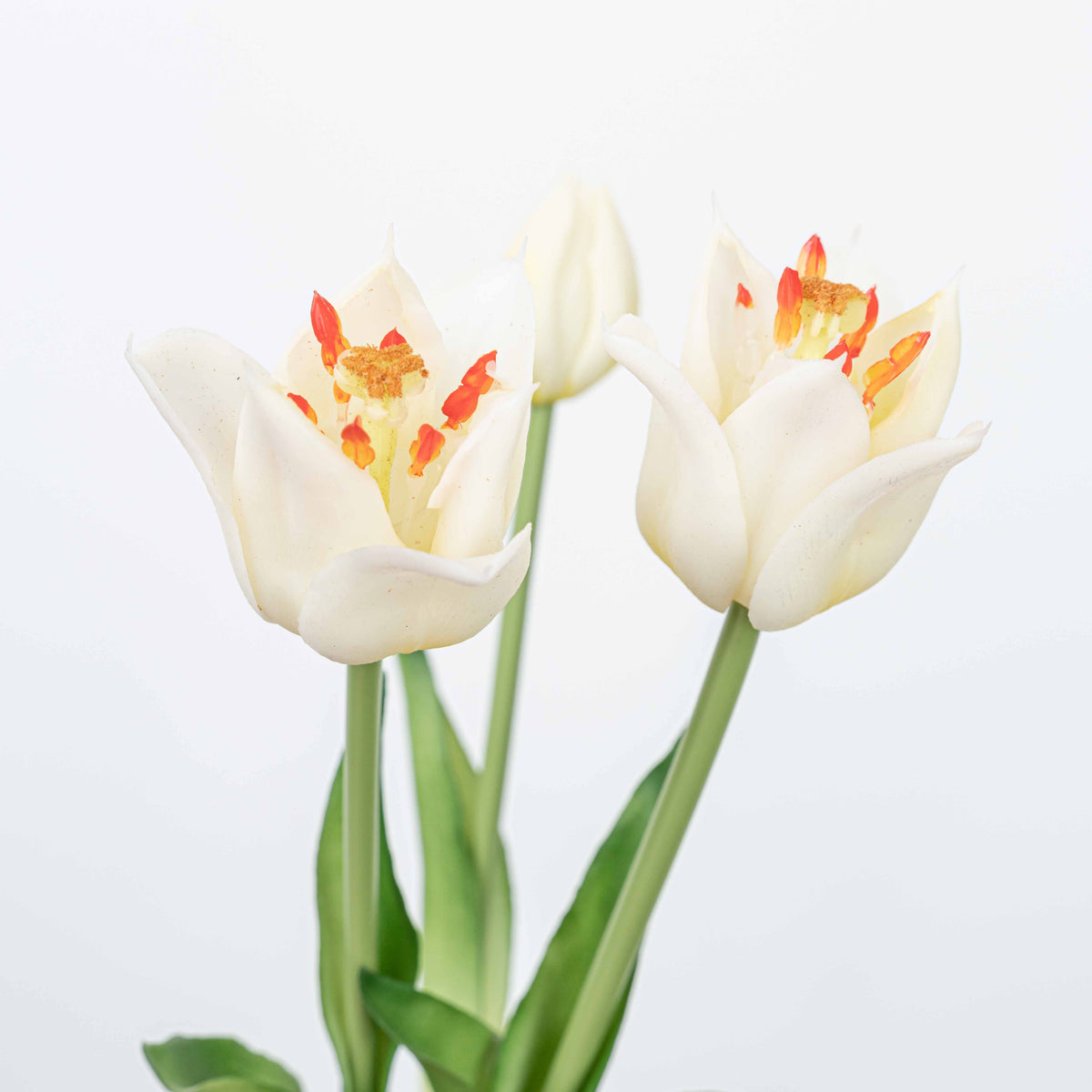 18" TULIP BUNDLE X 3