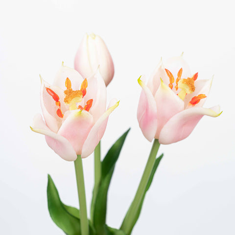 18" TULIP BUNDLE X 3