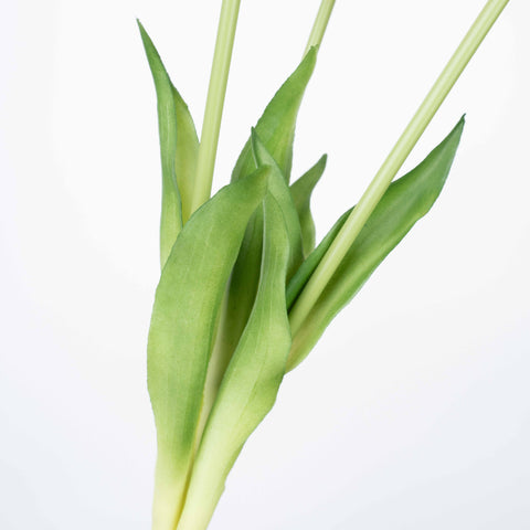 18" TULIP BUNDLE X 3