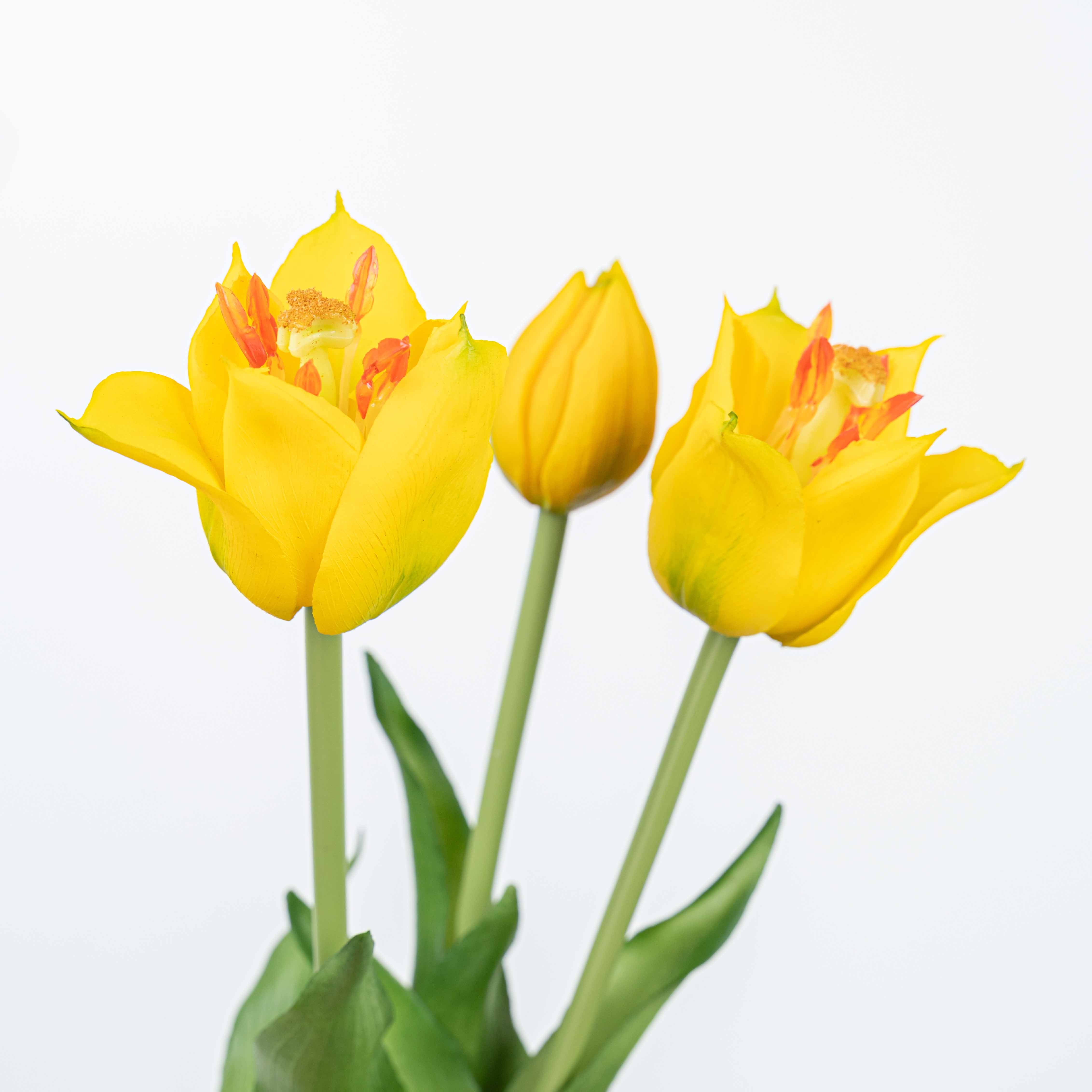 18" TULIP BUNDLE X 3