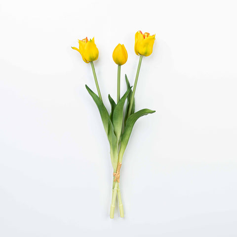 18" TULIP BUNDLE X 3