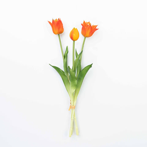 18" TULIP BUNDLE X 3