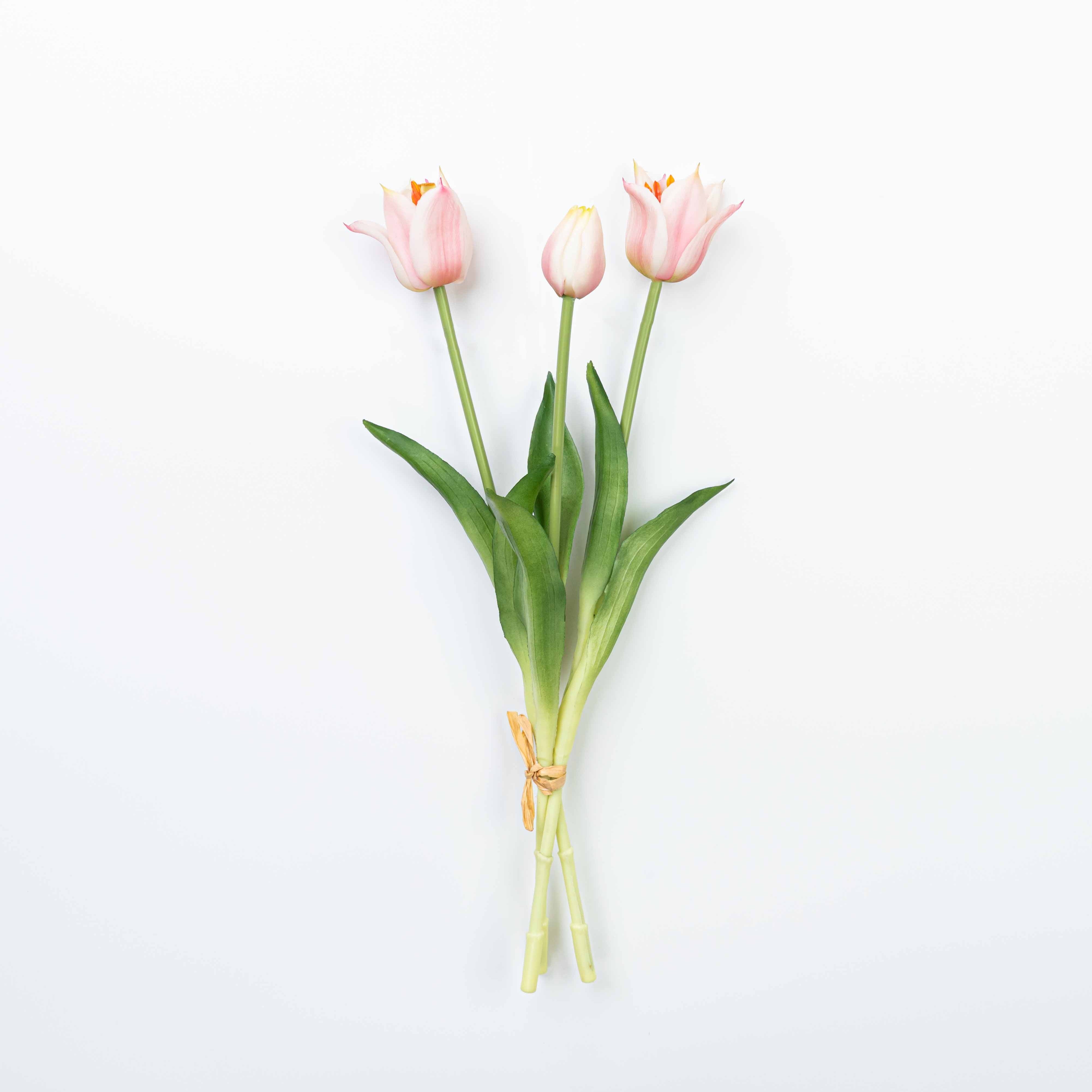 18" TULIP BUNDLE X 3