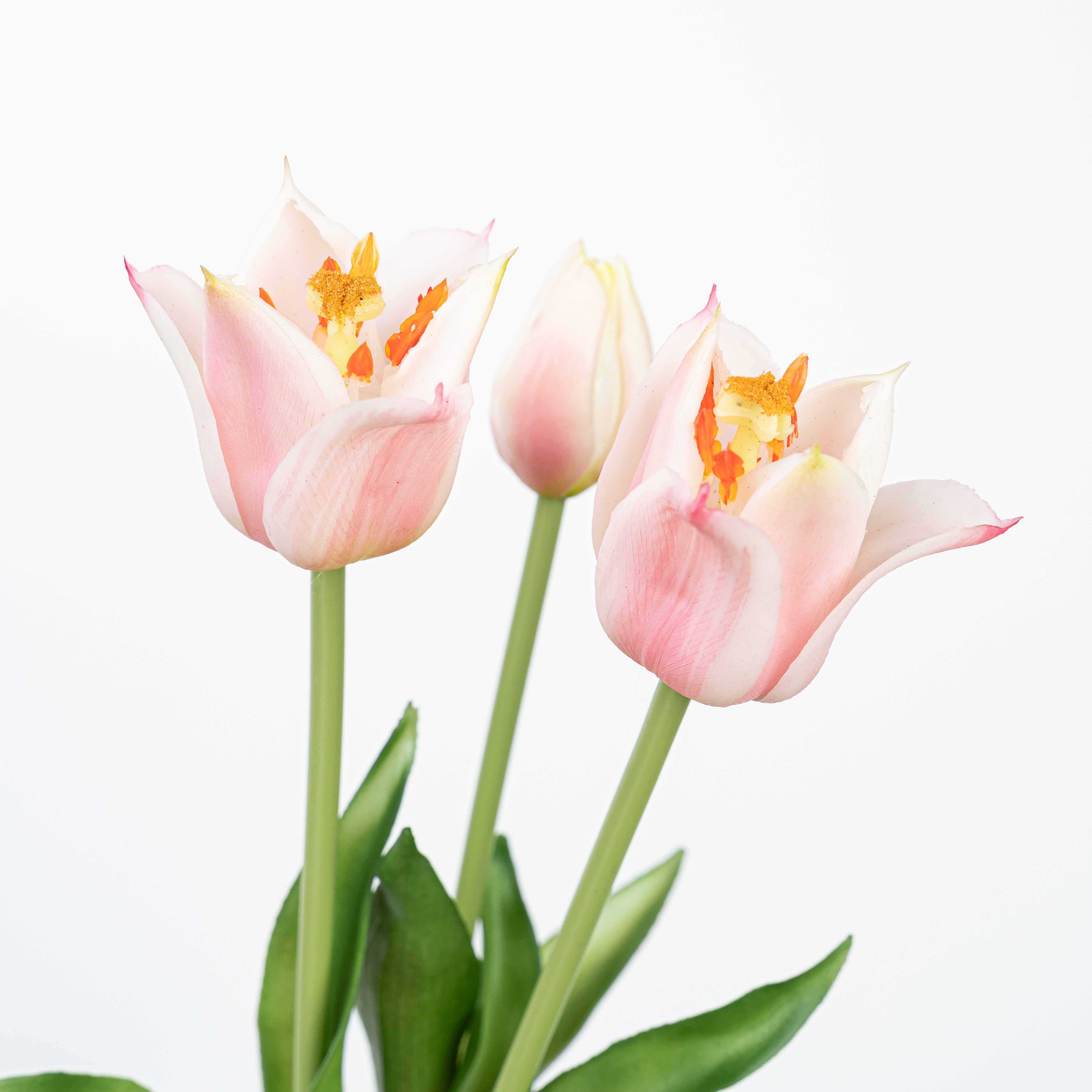 18" TULIP BUNDLE X 3