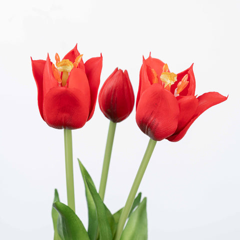 18" TULIP BUNDLE X 3