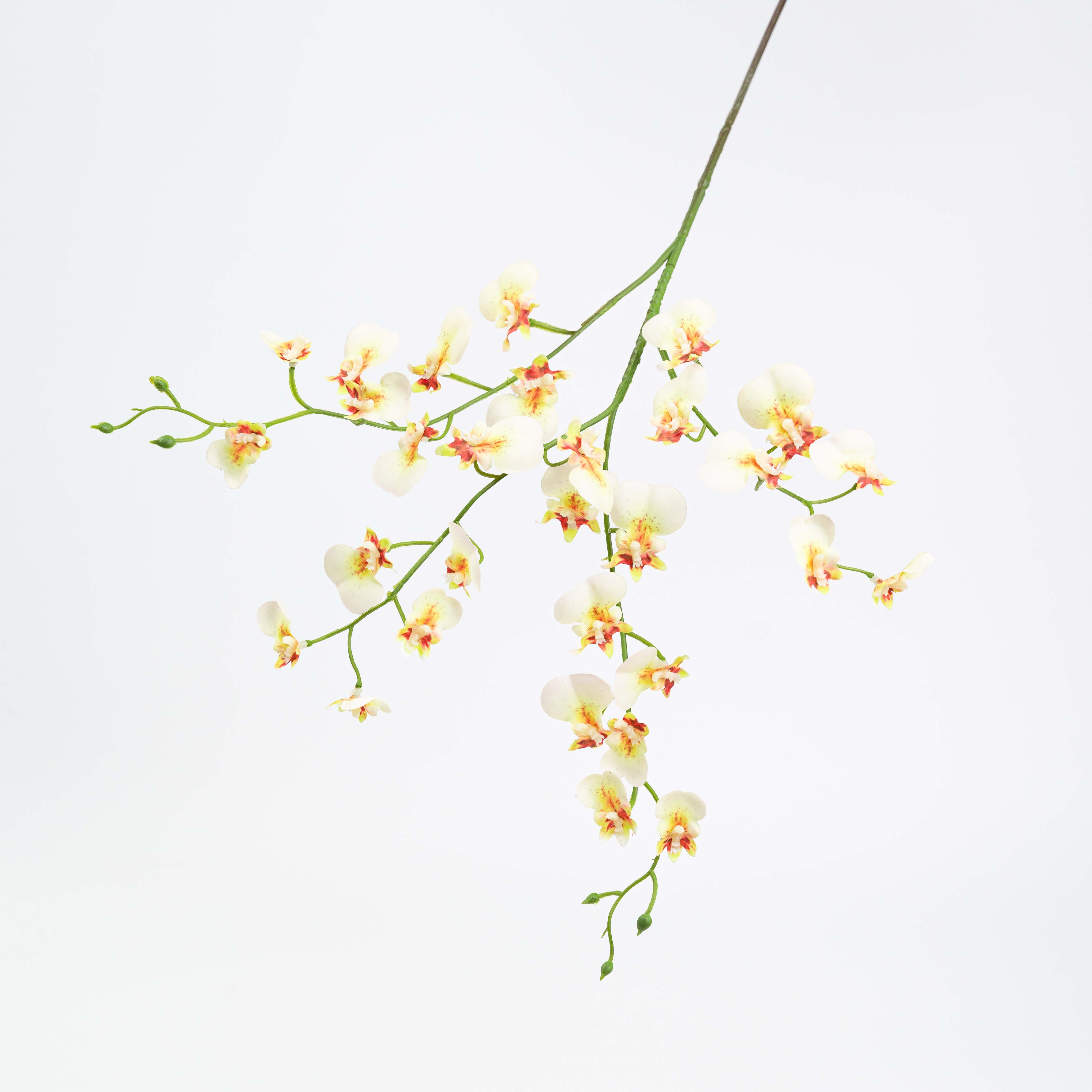 30" DANCING ORCHID SPRAY