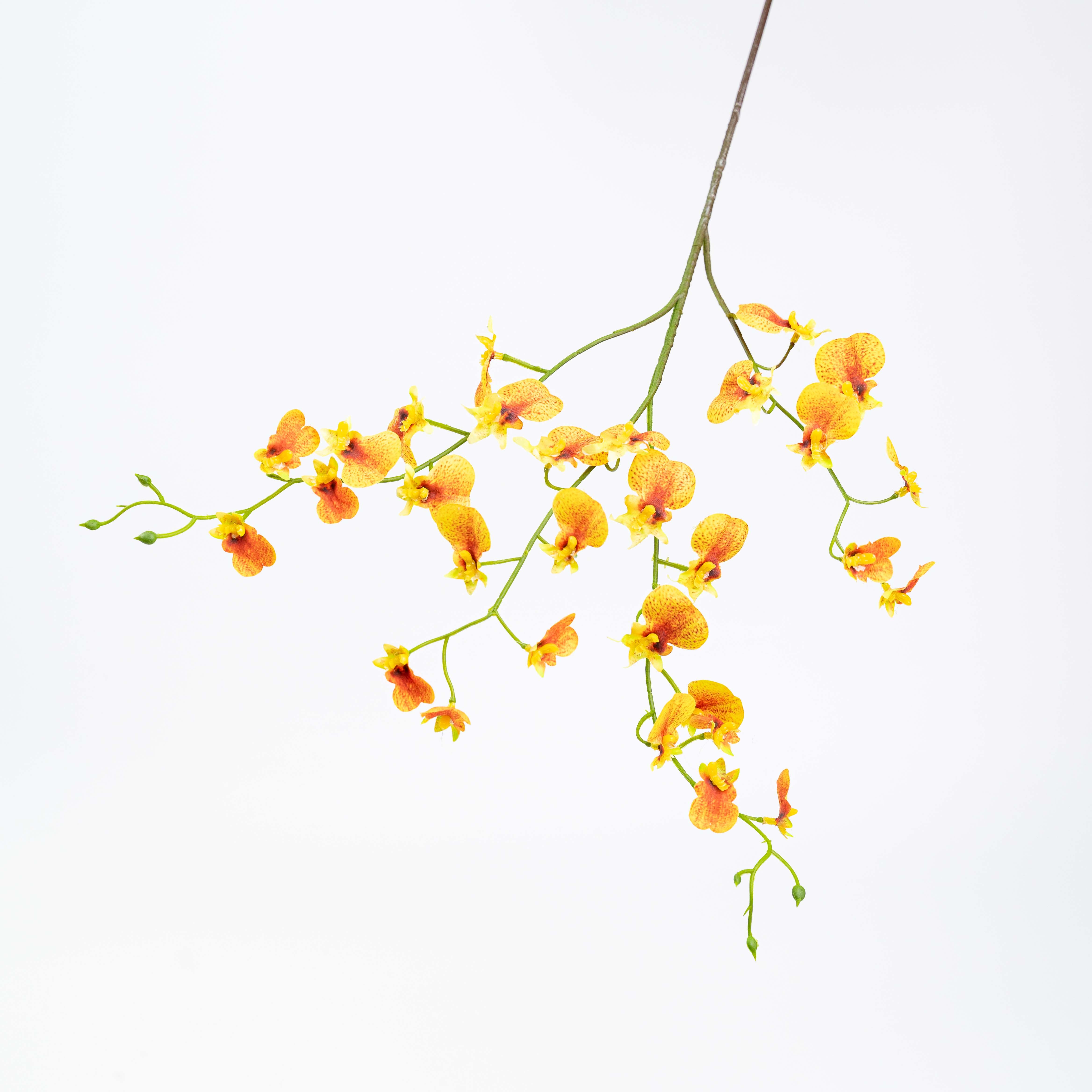 30" DANCING ORCHID SPRAY