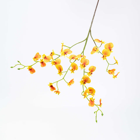 30" DANCING ORCHID SPRAY