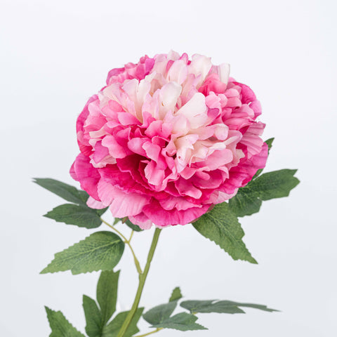 29" PEONY SPRAY X 2