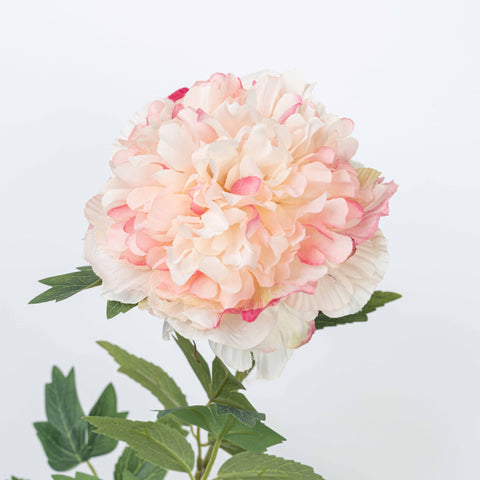 29" PEONY SPRAY X 2