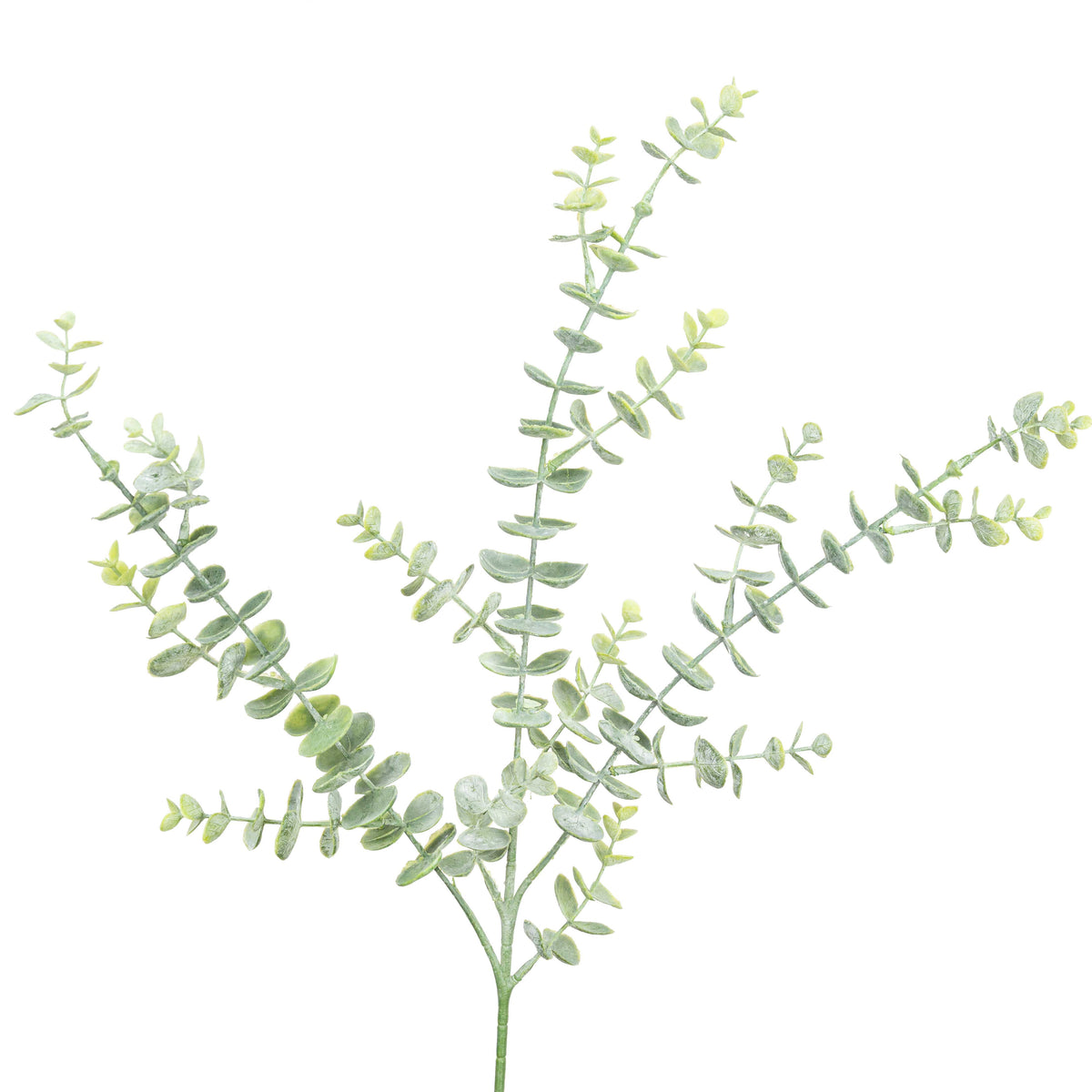 32" EUCALYPTUS LEAF SPRAY