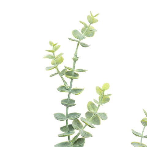 32" EUCALYPTUS LEAF SPRAY