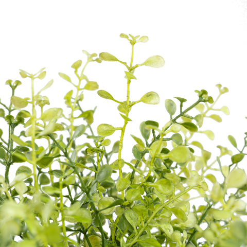 12" MINI PLASTIC LEAF BUSH X 7