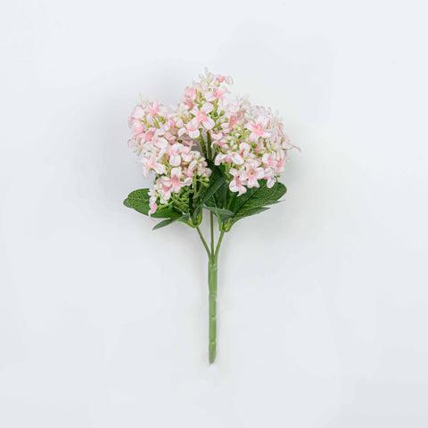 11" HYACINTH BUSH