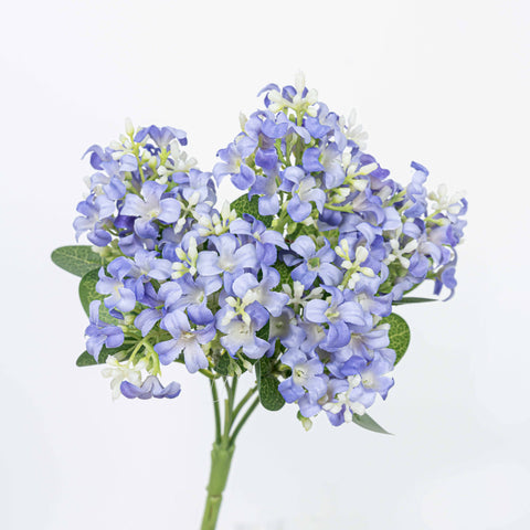 11" HYACINTH BUSH