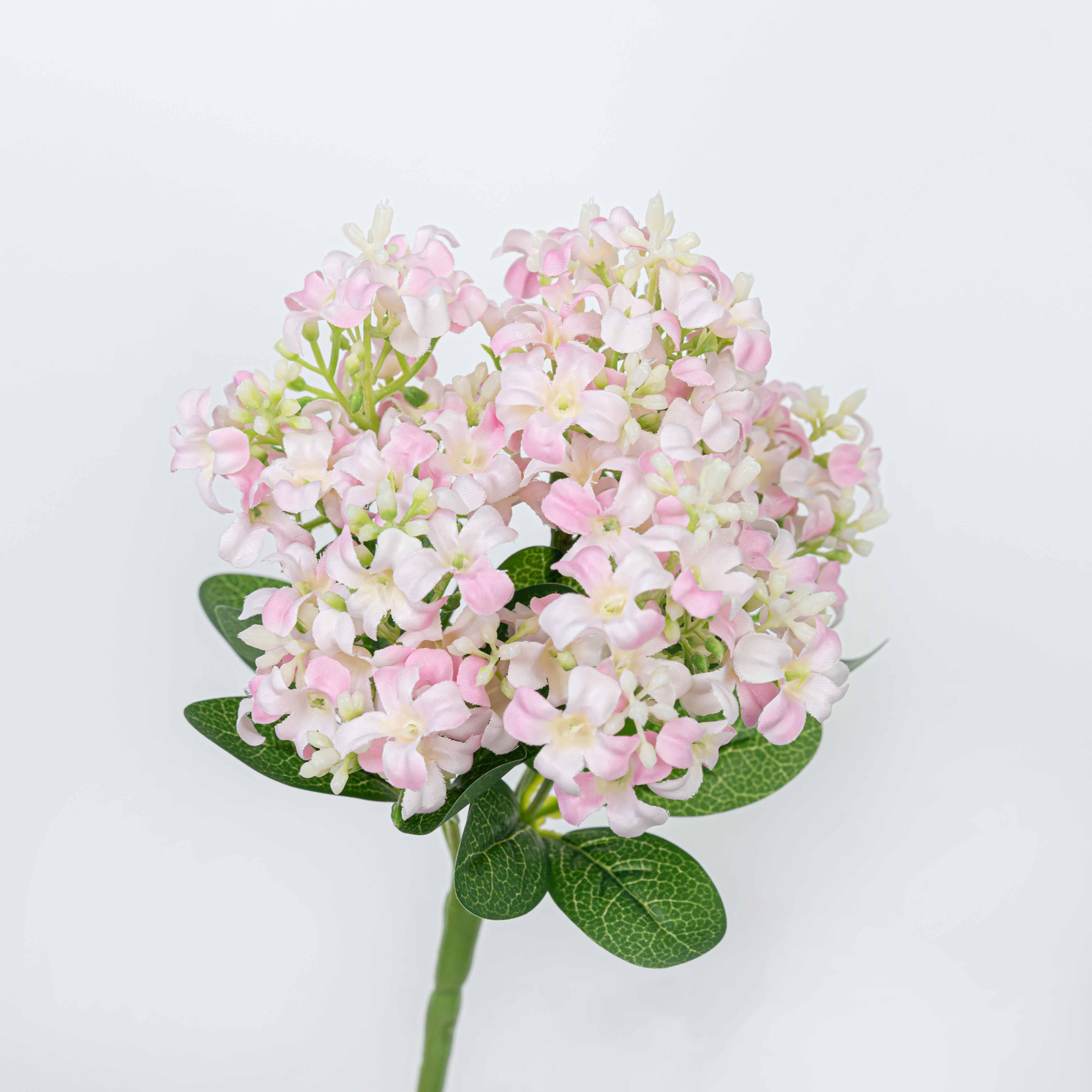 11" HYACINTH BUSH