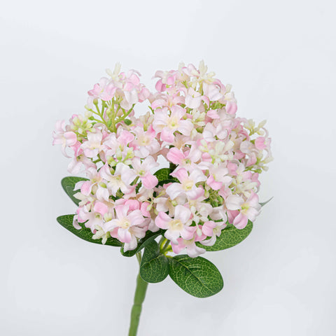 11" HYACINTH BUSH
