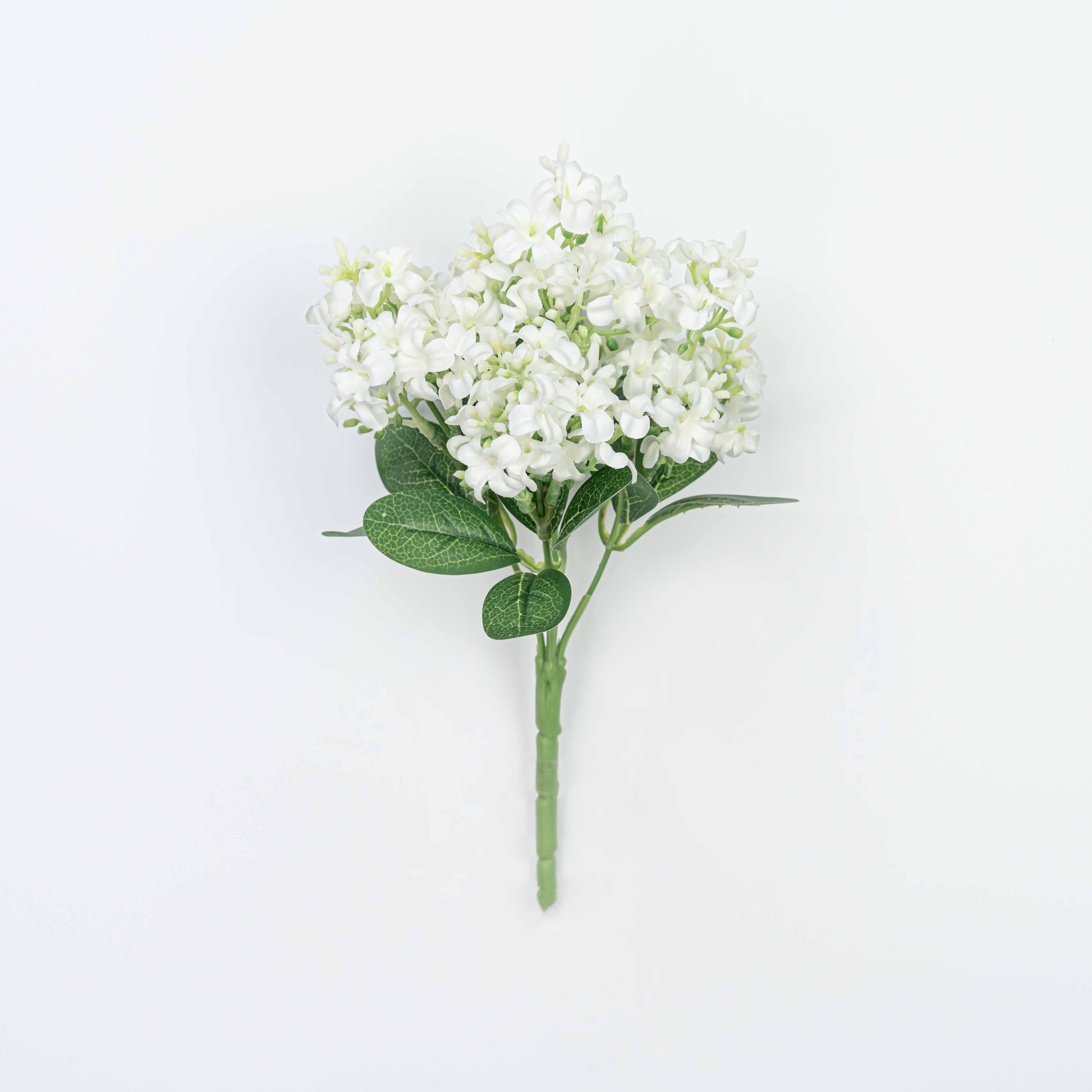 11" HYACINTH BUSH