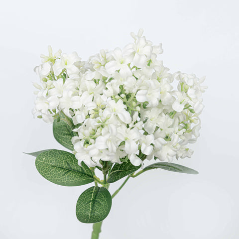 11" HYACINTH BUSH