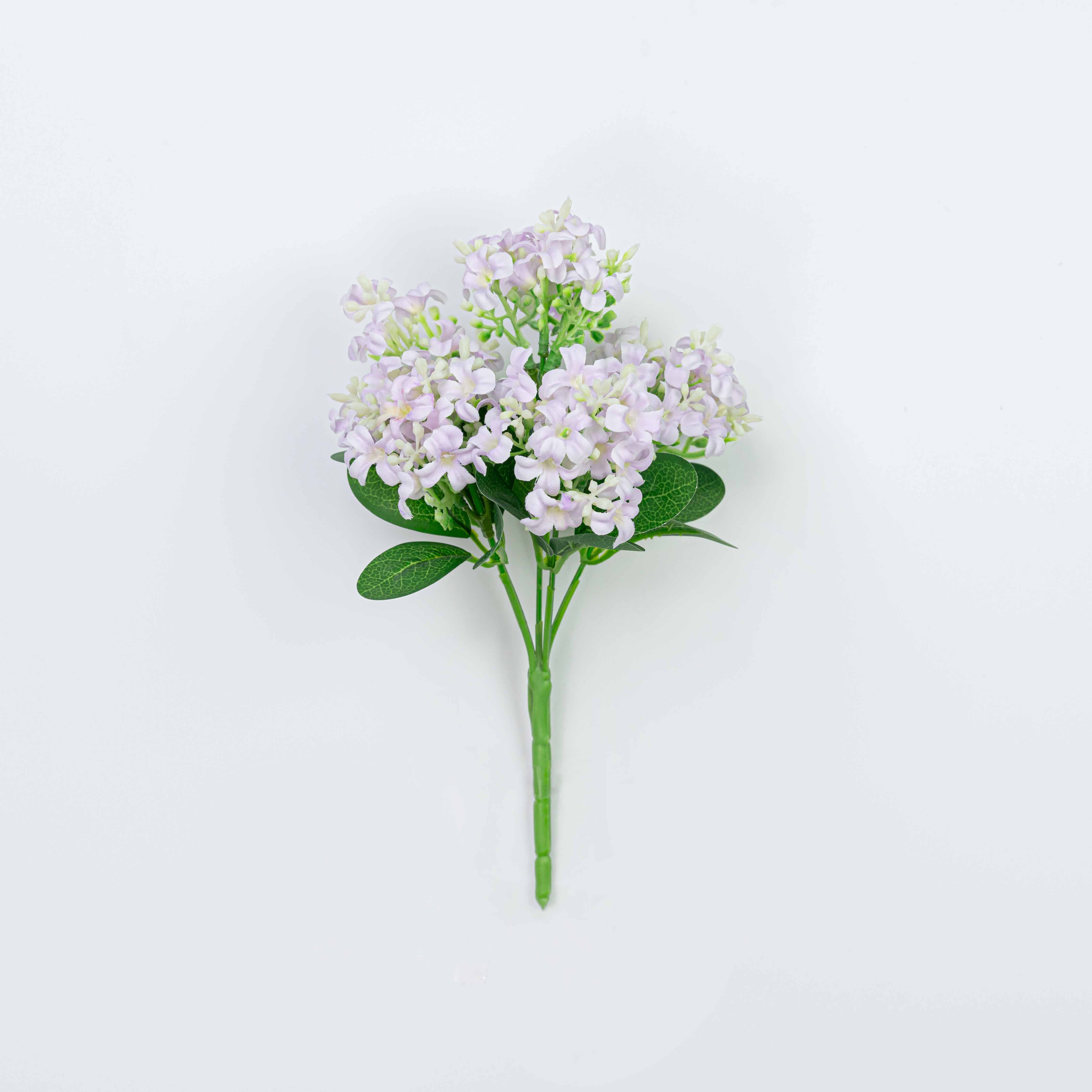 11" HYACINTH BUSH