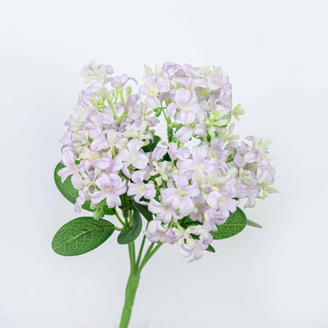 11" HYACINTH BUSH