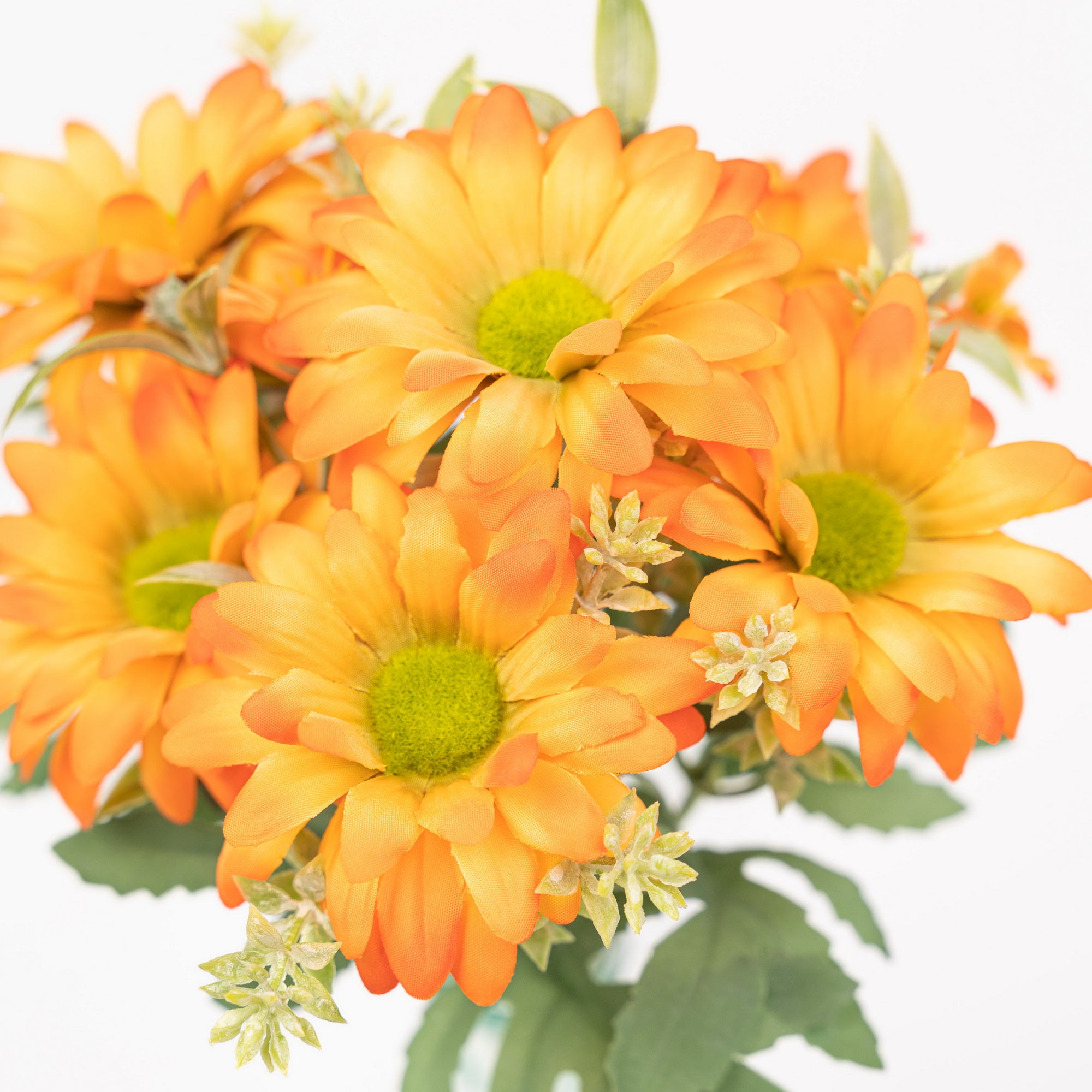 11.5" GERBERA DAISY BUSH
