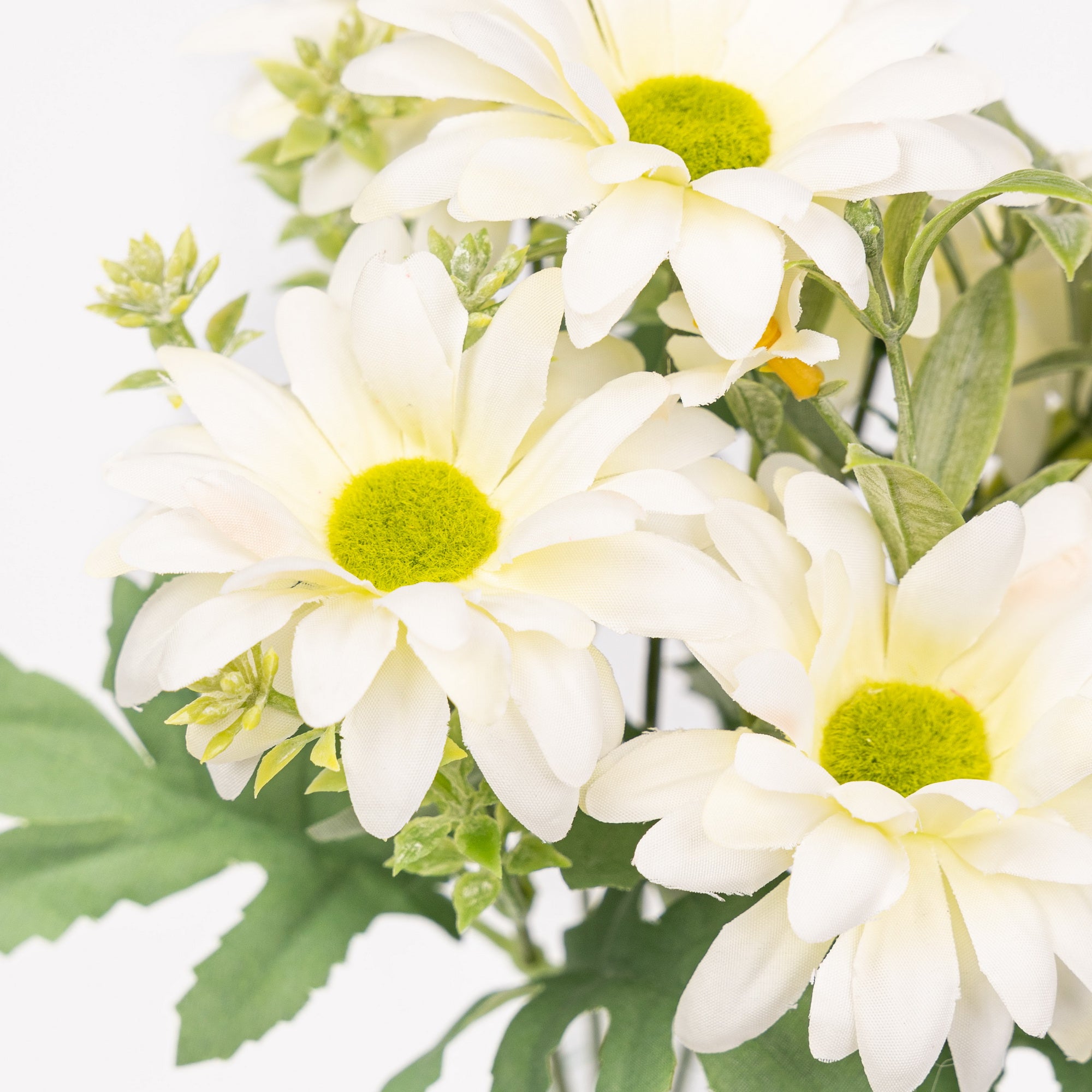 11.5" GERBERA DAISY BUSH